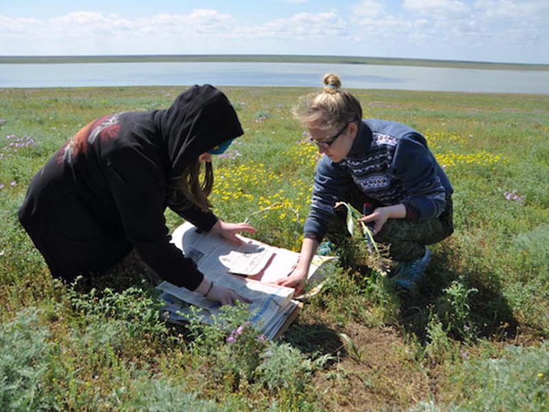 �������� ����� �1794 ������ ��������� �������� ������� ������� � ������������� ���������� � ��������