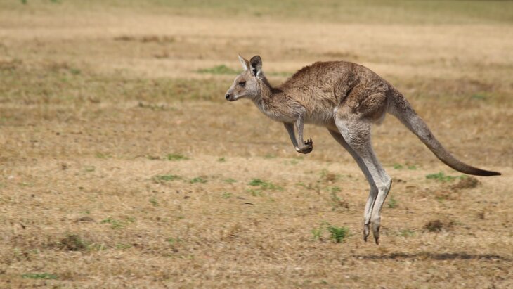 ������� � ��������� ���������� � �������� 98 �������