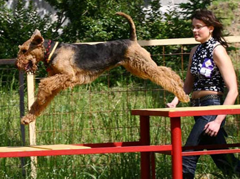 � ��������� �������� ����������� �������� ��� ������ �����