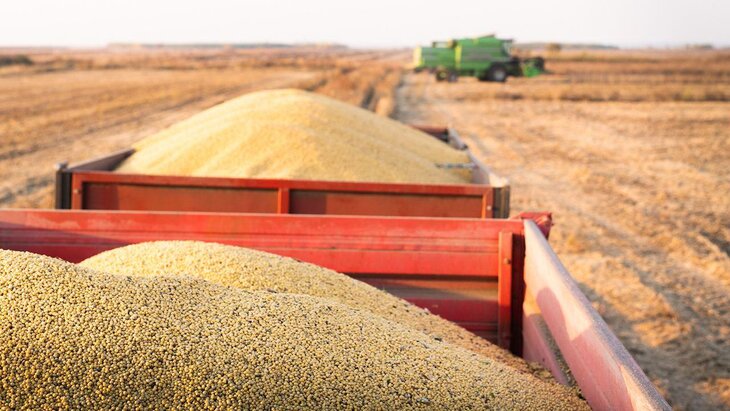 ��������� ����������� �� � ��� � ������ �������� ������ �� ������������� � ���