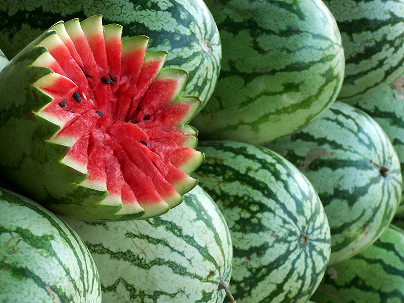 � ��� ����� ������� ����� �� ������� ������� � ����