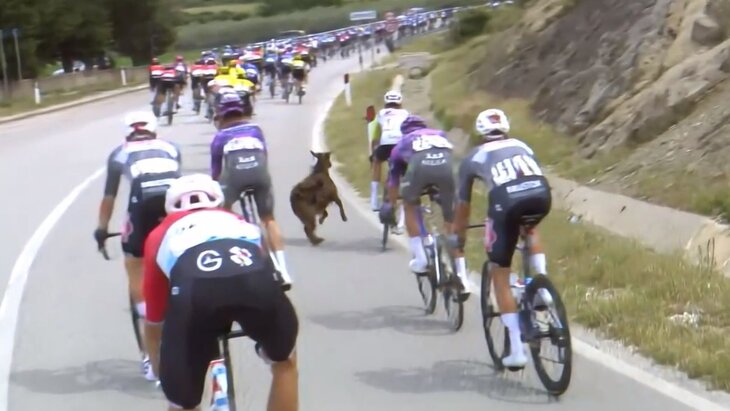 ������������ �� ����� �������� ���������� � ����� �� ����� ����� � �������