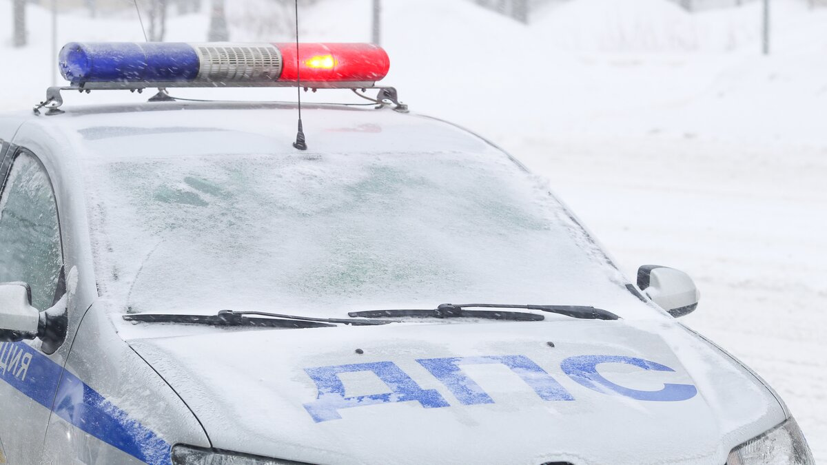 �������� ������������ ������������ ����� 24 � 25 ������� ��-�� ����������