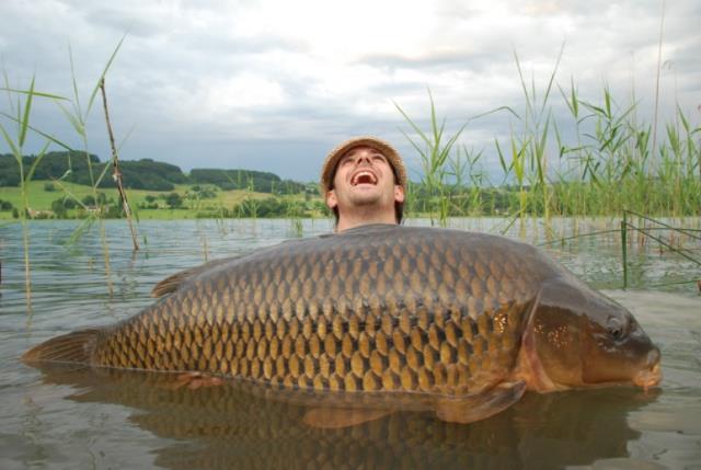 ��������� ��������� ������� � ����