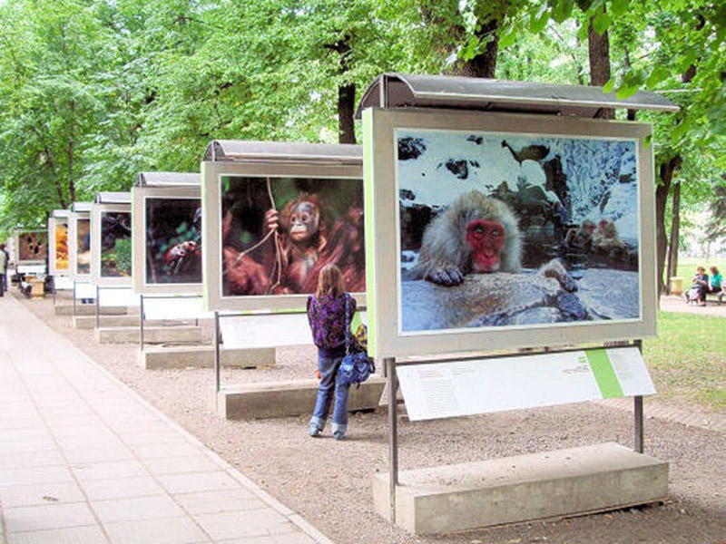 �� ��������� �������� ����� �������� ������ ������ ������������������ ����������