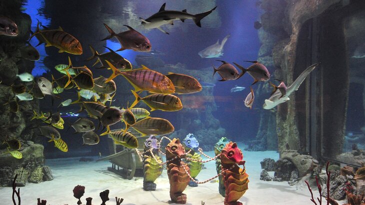 ������ �������: "����������" �� ���� ��������� 10-������ ������