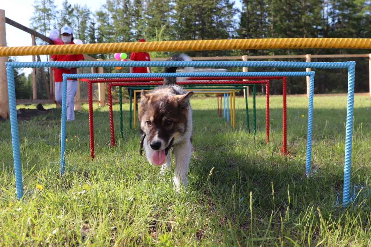 �������� ������������� �������� ��� ����� � ���������� �������