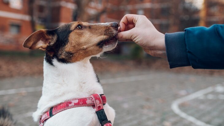 � �� ����� ������ ��������������� ��� ������ �������� �� ������ ��������