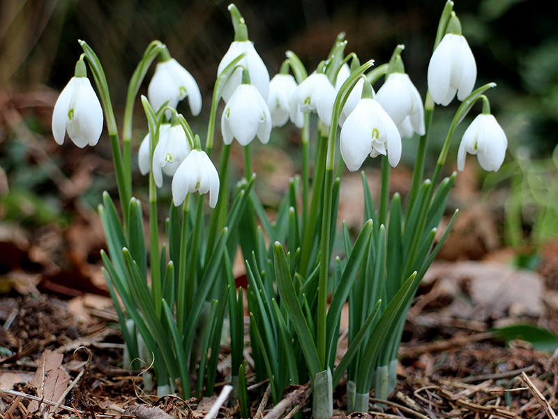 � ������������, ������� ������� � ������ �� ��������