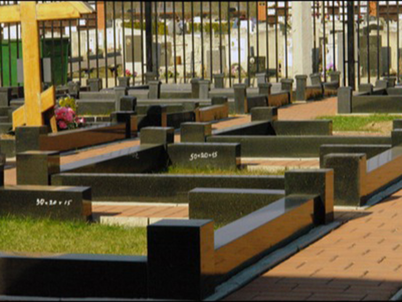 ������ ���������� �������� �������� ����������