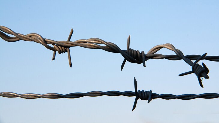 ���� �������� ���������� � �������� ������� ������� ���������� ������ �� ���� "�������"