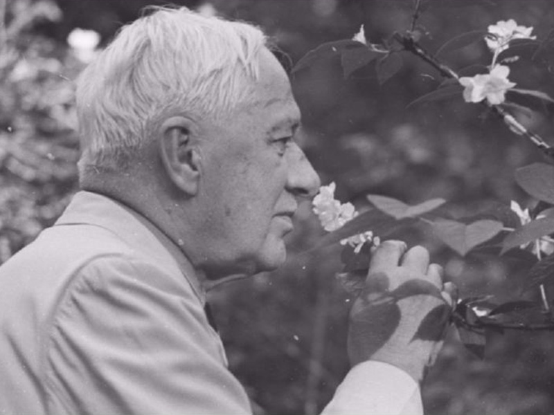 ������ ������ ��������� �������� ������������ �� �������� �������� �� ����