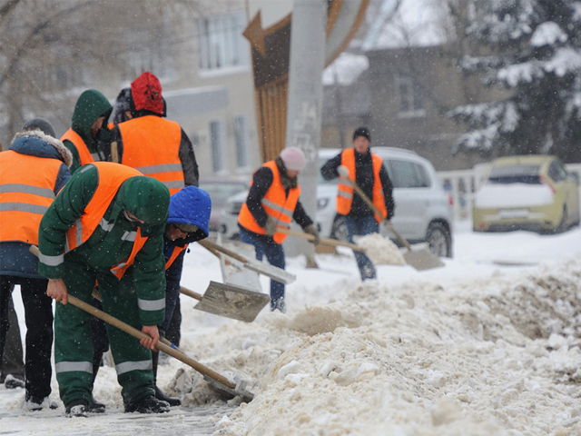 ������� ������� �������� ������ ���� ������ �� �����