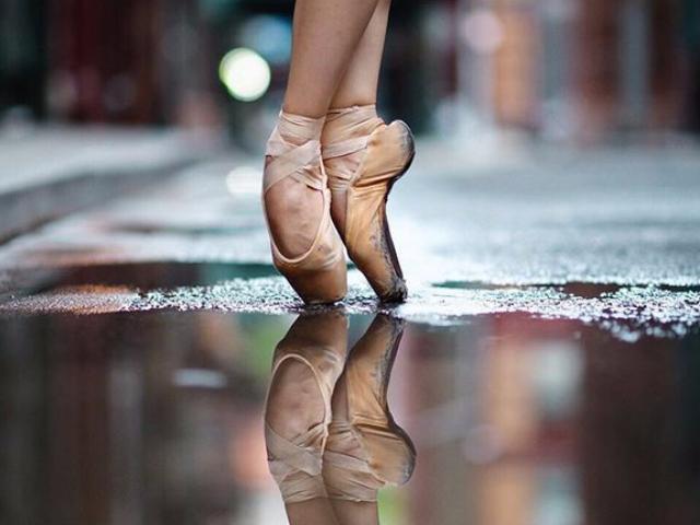 ��������� ����������� �� ����� �1794 ������ ������� �������� �� IV������������� ��������� ���������������� ��������