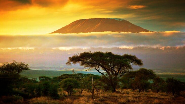 ��������� ������� ������������� � ������ ����� �� 20,8%