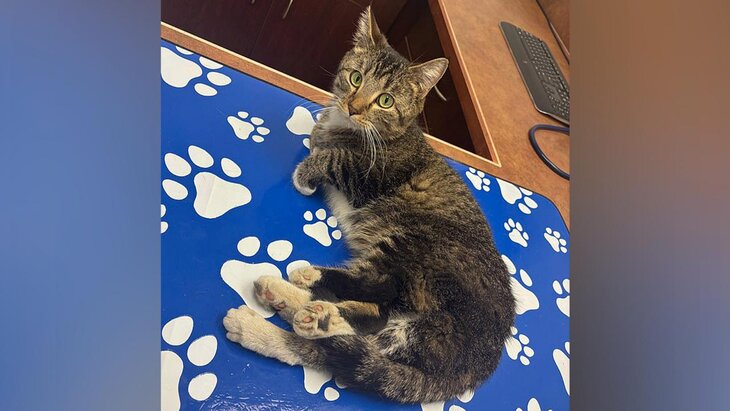 � ������ ������� ���������� ��� � ���