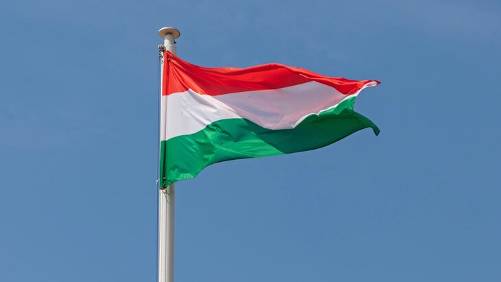 ������� ��������, ��� ������� �� ������� ����� ������� �� 50 ����