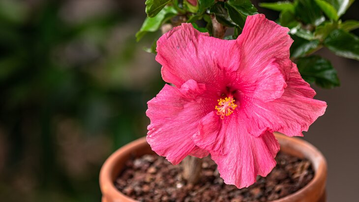 �������� ����� ��-�� ������������� ������ ��������� � �����