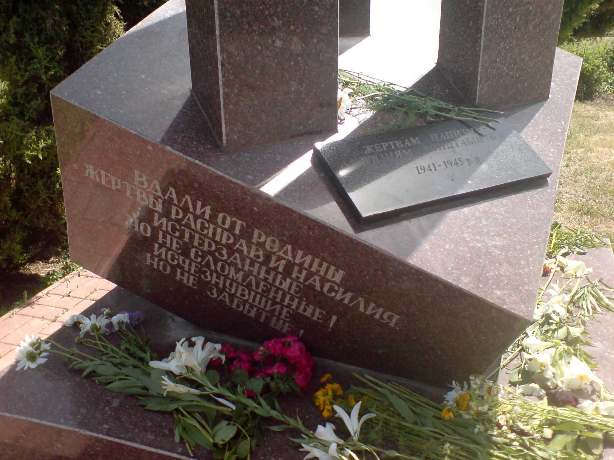 � ���� �������� �������� ������� �����������