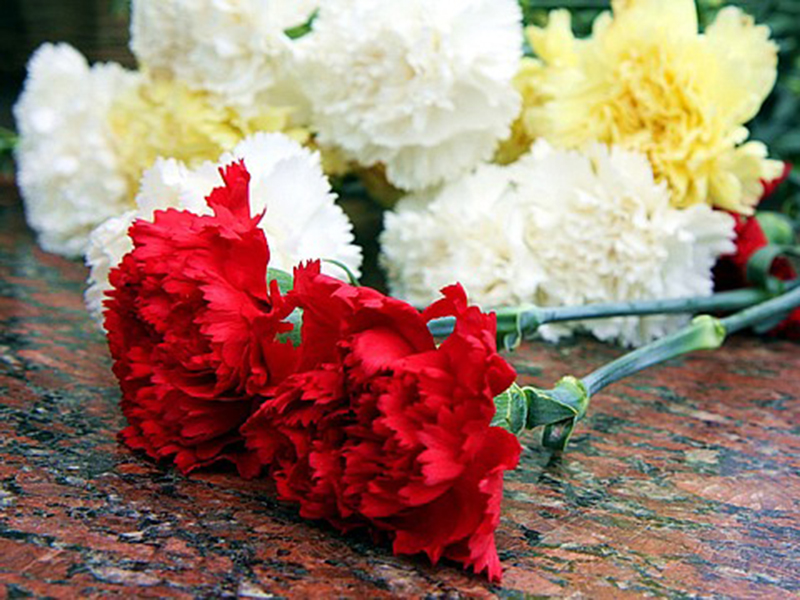 �����������, ����������� ��� ������ � ������, ������ � ��������� ��������