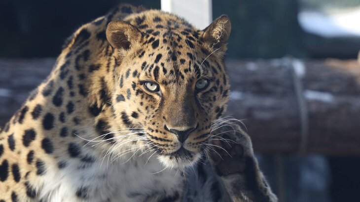 � ���������� �������� ���������� � ��������� �������� ����� ������������ ��������