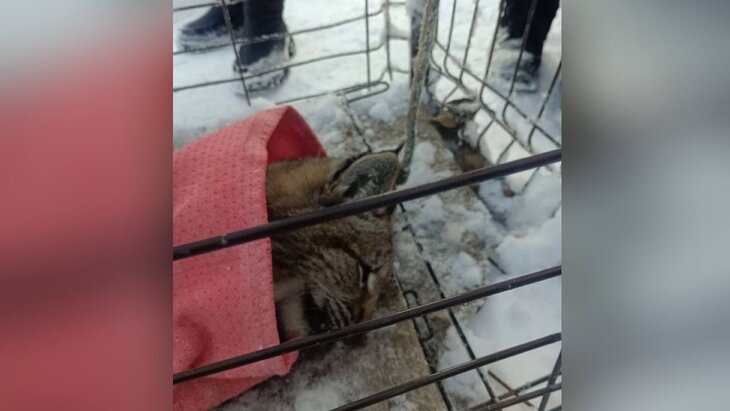 ���� ������� � ����� ��� � �������� ����� � ����