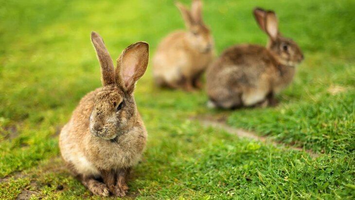 ������� ��������� � ������ �� ������ ������� � ���