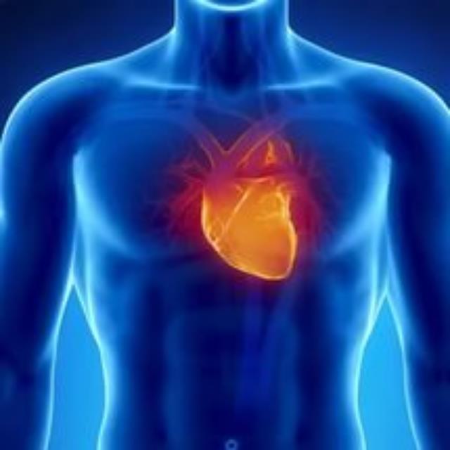 �� ���� ����� ��������� ��������� ������