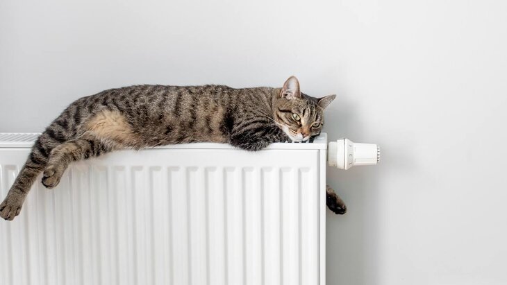 � �� ���������, ����� � �� �������� ������� ������ �� ���������