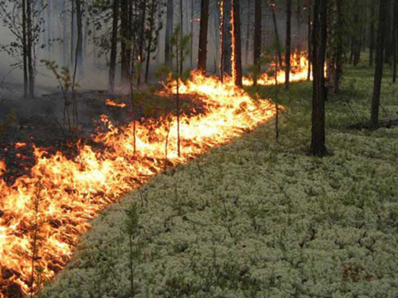 ������� ���������� �������� ���������� � ��������������� ������������