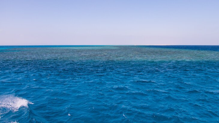 ��������� ��������� � ���������� � ������� ���� ���� Sea Story �� ������ � ���