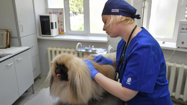 �������� ��������� ���������� ���������� �������� �������� ���������� � ������