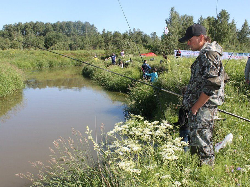 ������ ���������� �������� ������������ �� ���������� ���������