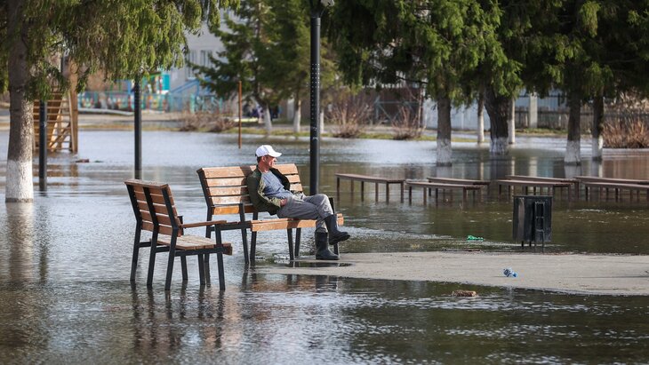 ������� ���� � ���� ����� � ������� ������ 919 ��