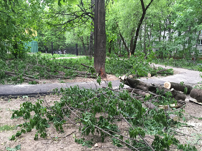 � ��������� �������� �������� ������ �� ���������� ������� ��������