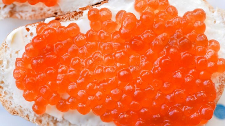 ������� ������� ������, ������� ������� ����� ���������� � 2024 ����