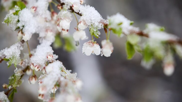 ��������� ������� ��������� ��-�� ���������� �������� � �������� �������