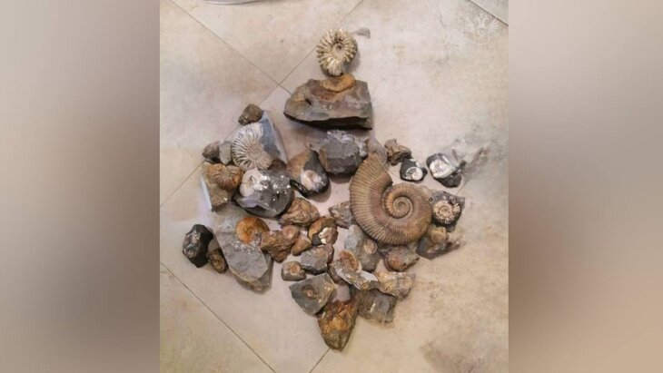 � ������ ����������� ��������� �������� �� ����������� ������� ���������