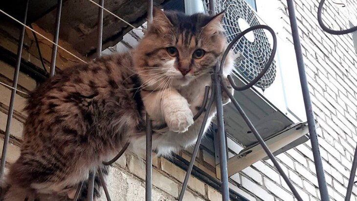 � ����������� ������ ���, ���������� � ������� �������