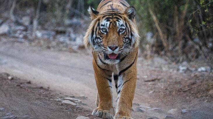 ������ ����� ��������� ����� � ��������� ������ ����������� ����