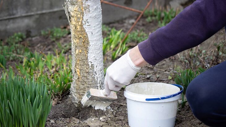 ������� ����������, ��� ���� ����� �������