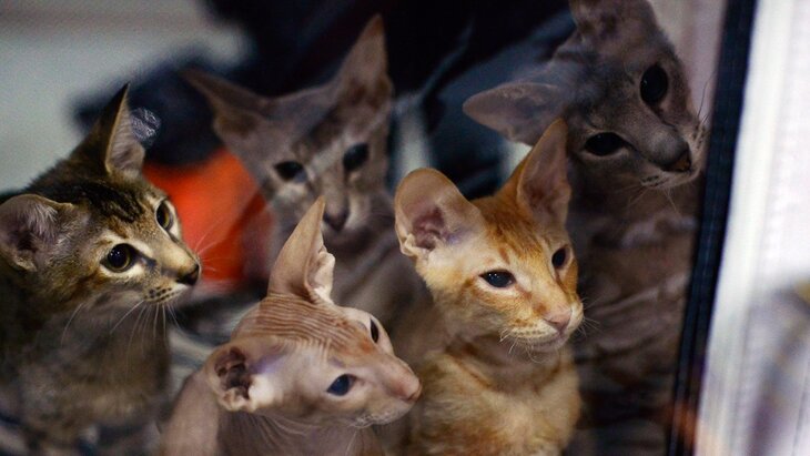 � ������� ������ ������ � ��������������� ���������� �� �������� ��������� � ���������