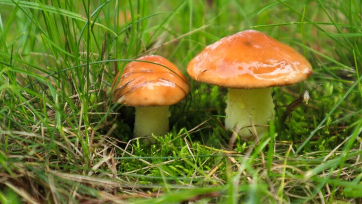 ������� ���������, ����� ����� ����� �������� � ������������ ����� � �������