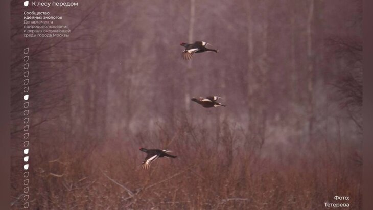 ����� 15 ��������� ���������� � ����� �� ����� ��������� ������������