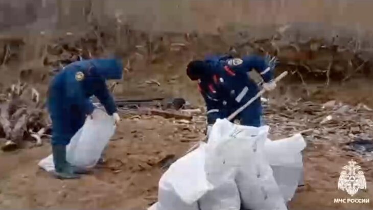 ����� 78 ����� ���� ����� � ������� �������� � ������������� ��������� ������