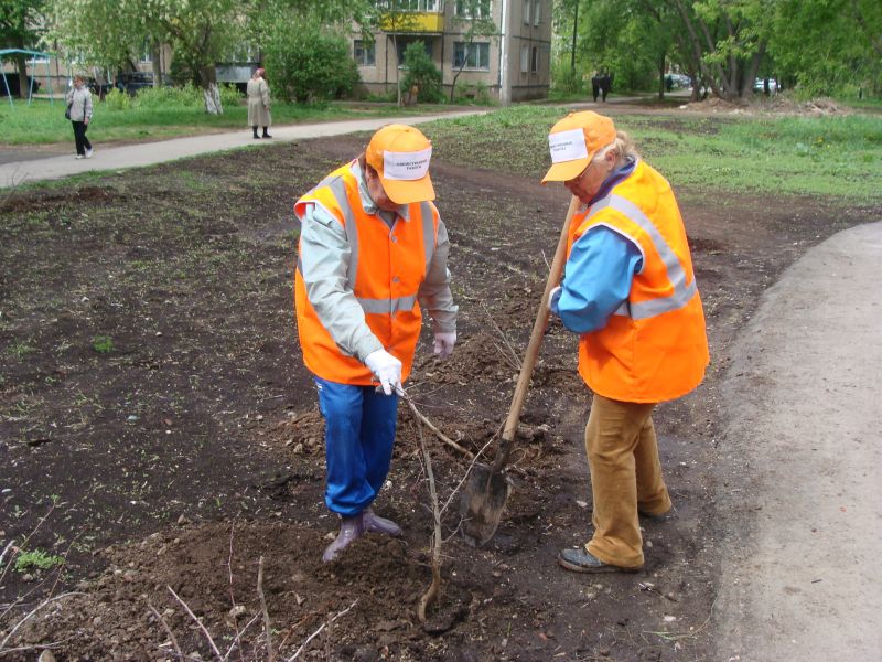 ����� ����������� ������ ������������ ������ ��� ���������� ������ ����������� � �������