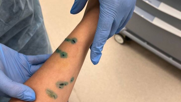 ���������� ����� ������ ���������, ������� � ����� �������� ��������