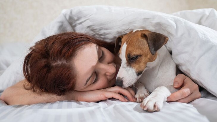 �������� ����������, ������ ������ ������������ ����� �� ����� �����