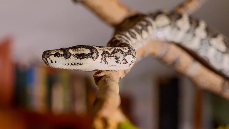 ��������� �������� �� ������ ����� ���� �� ����� ���