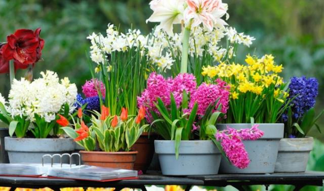  � ������ �� ��������� ���������������� ������ ��������� �����